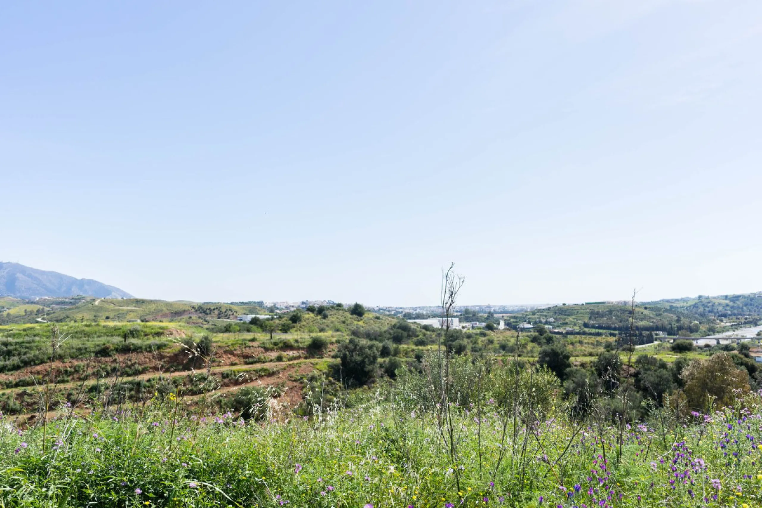 Plot - Land в продаже в Mijas, Málaga. Площадь участка 29719 м²