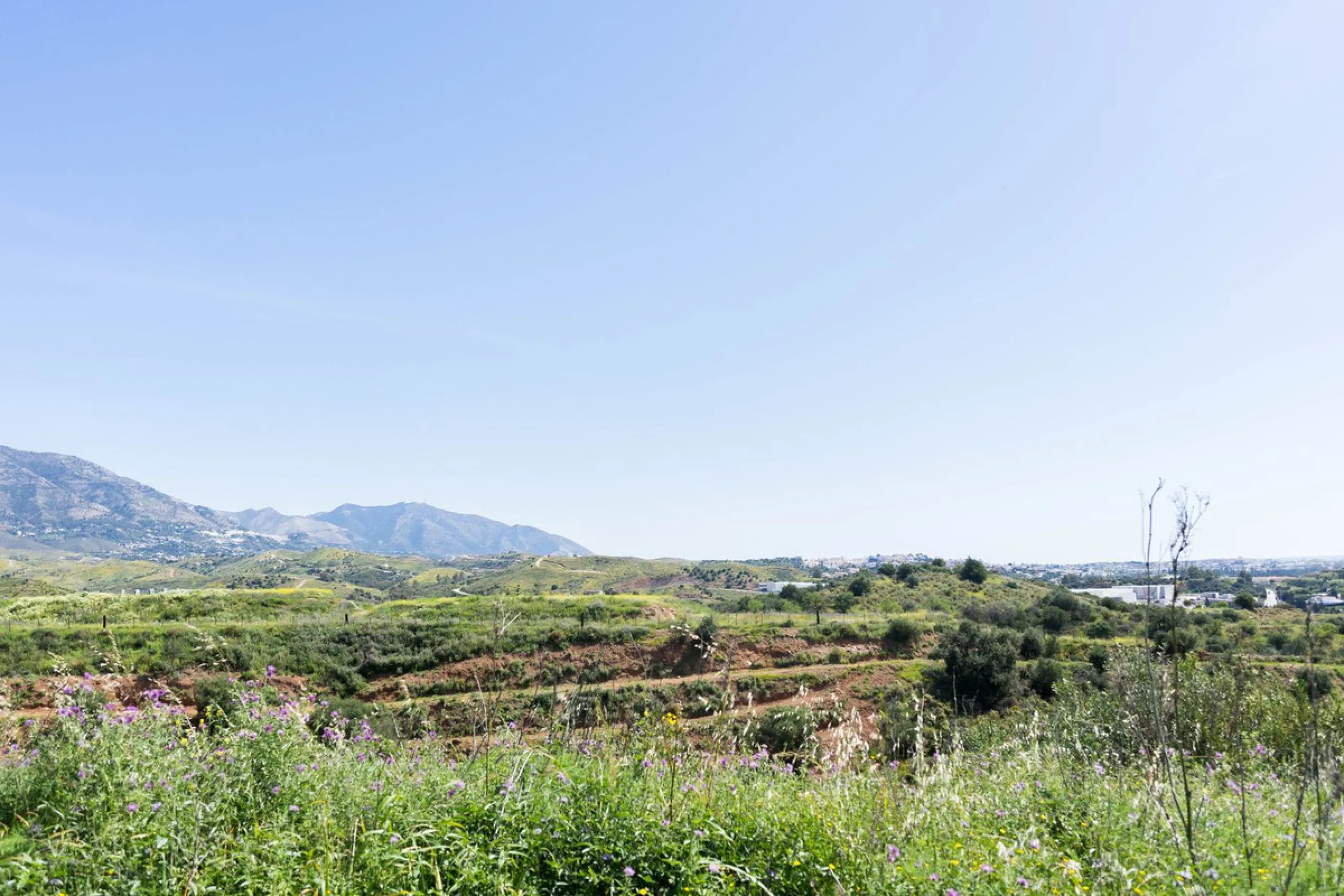 Plot - Land в продаже в Mijas, Málaga. Площадь участка 29719 м²
