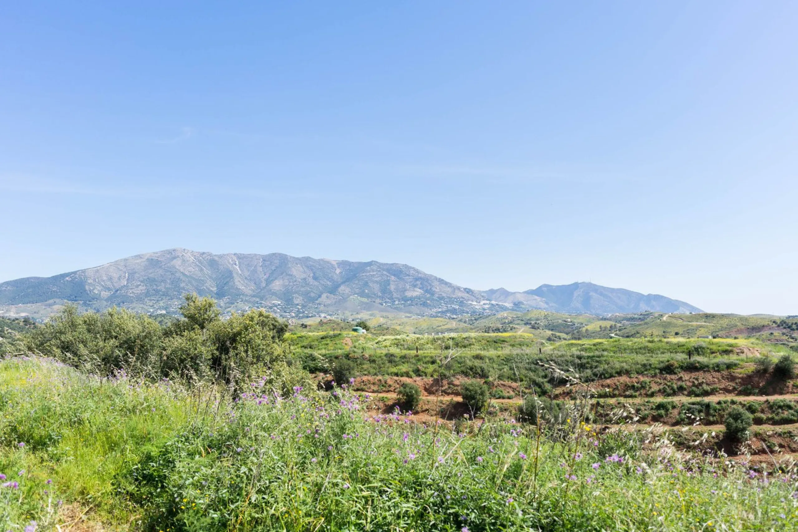 Plot - Land в продаже в Mijas, Málaga. Площадь участка 29719 м²