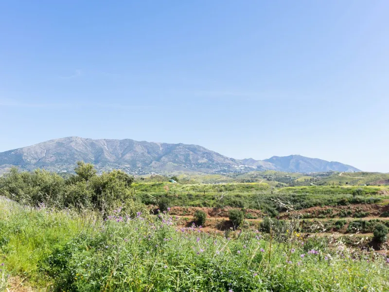 Plot - Land в продаже в Mijas, Málaga. Площадь участка 29719 м²