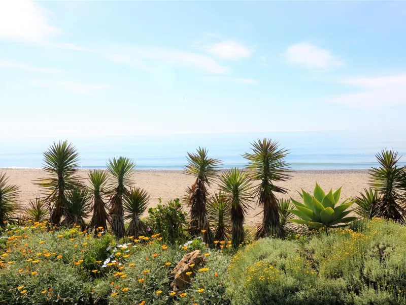 Apartment - Top Floor Apartment в продаже в Estepona, Málaga. В доме 2 спален и 2 ванных комнат. Площадь дома 110 м²
