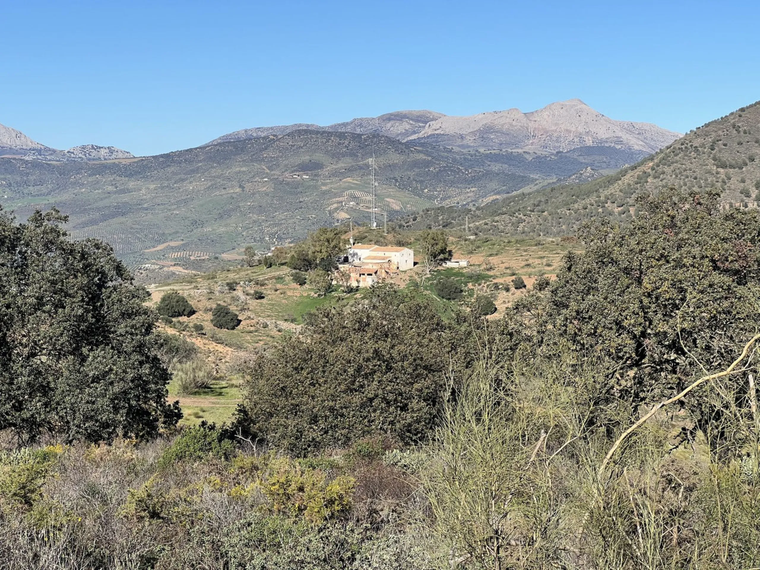 This is an exclusive Cortijo, completely different from others, because there is nothing similar with these dimensions for sale anywhere, much less at this price, in the municipality of Casabermeja.