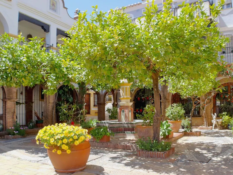 Apartment - Penthouse Duplex в продаже в Mijas, Málaga. В доме 4 спален и 3 ванных комнат. Площадь дома 208 м²