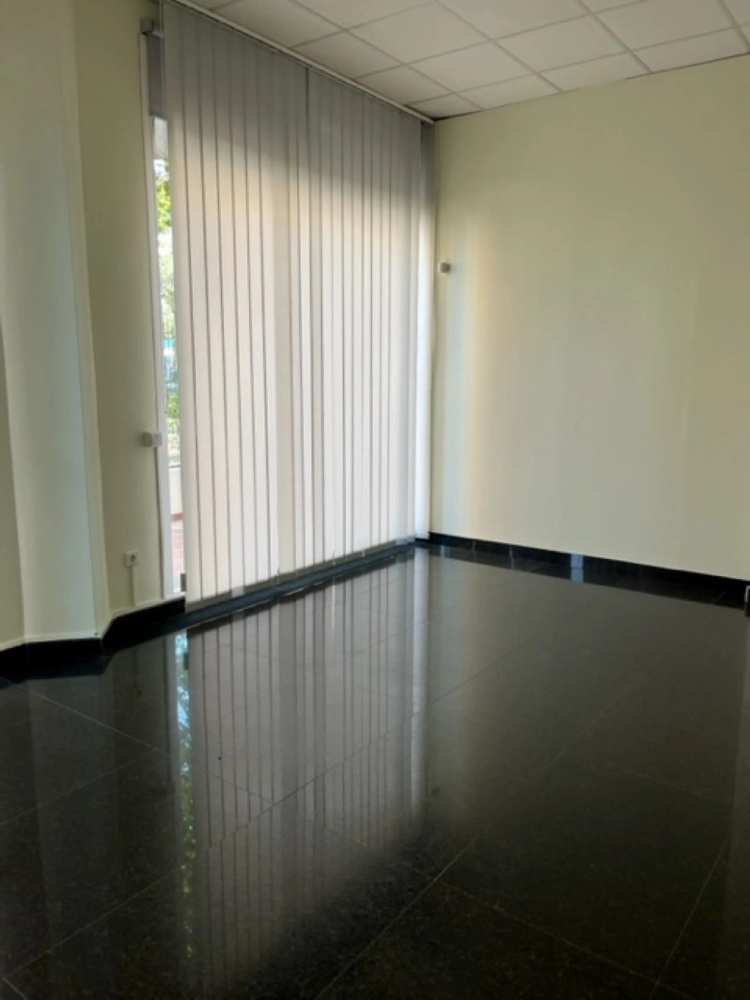 Fantastic Local premises in main Avda. Severo Ochoa of 440 m2 at less than 100 m from Hospital Quirón. It occupies all the ground floor of the building. Is in very good conditions with A/C,2  bathrooms and kitchenette. Views to the port and sea.
