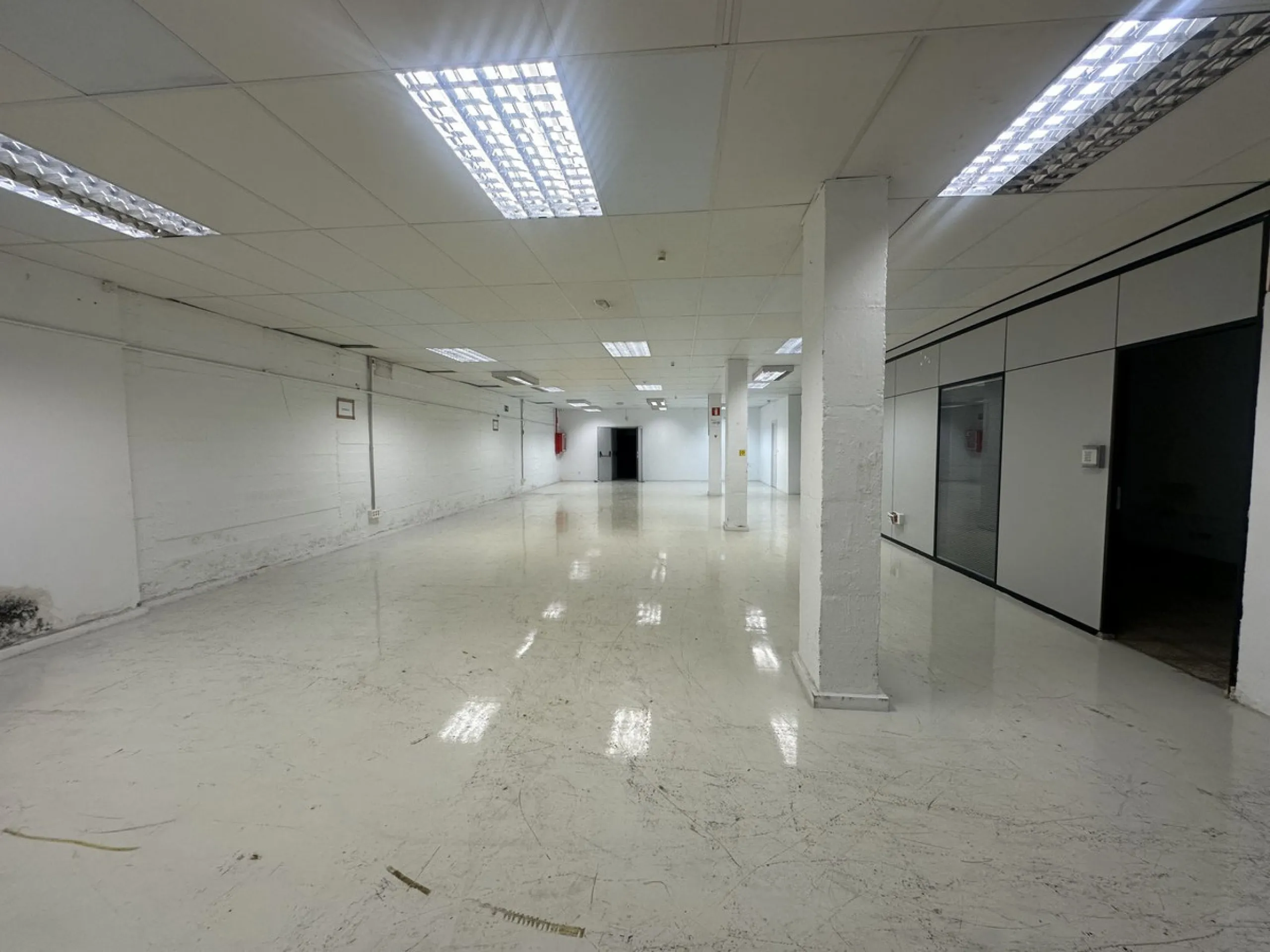 Current business use on Plots 71 and 73 granted by the Málaga City Council.