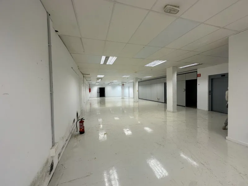 Current business use on Plots 71 and 73 granted by the Málaga City Council.