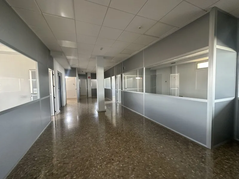 Current business use on Plots 71 and 73 granted by the Málaga City Council.