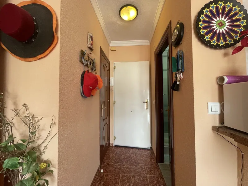 Discover the home of your dreams on the Costa del Sol!