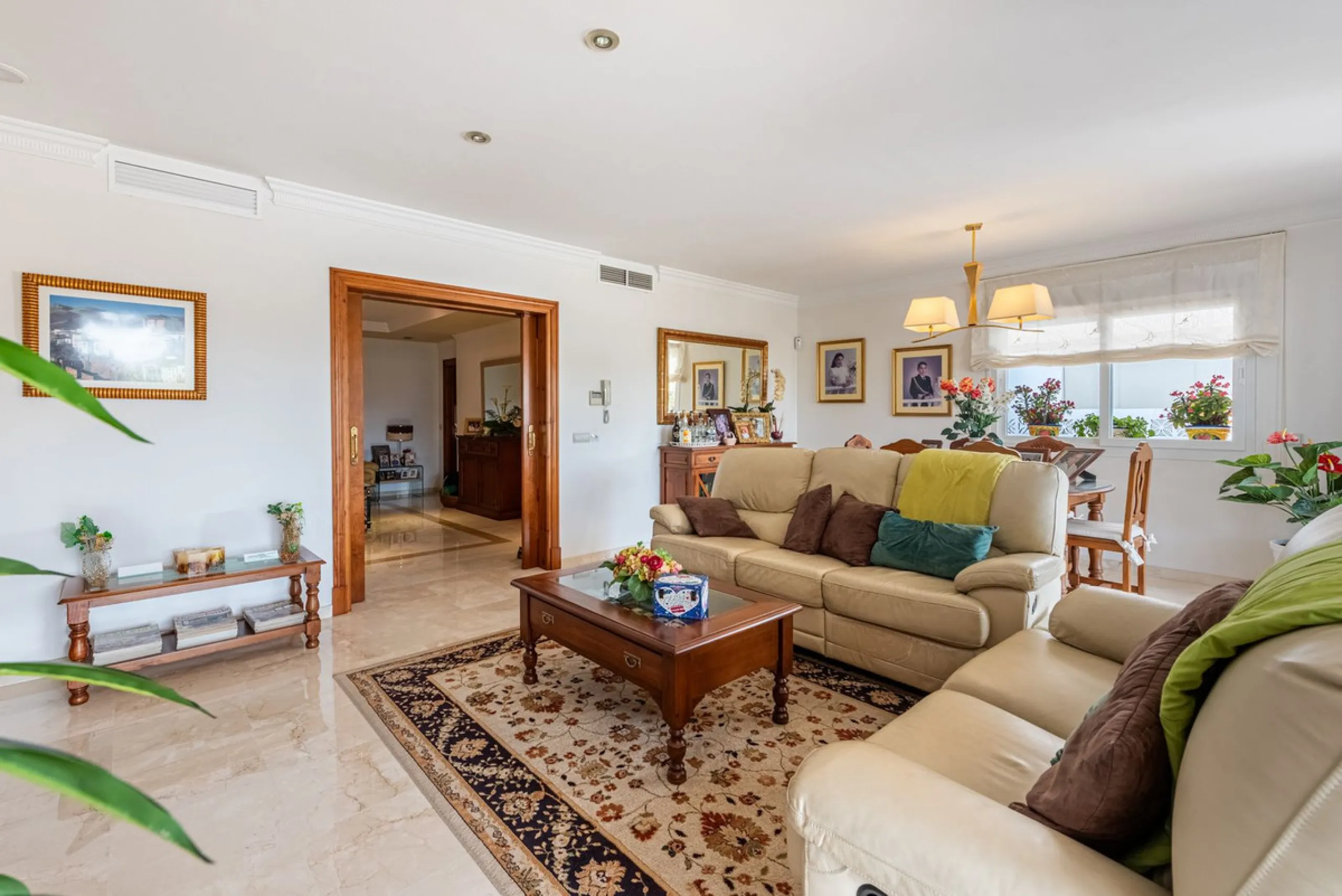 Spacious Villa in central San Pedro! With 3 separate apartments and garage for 10 cars.