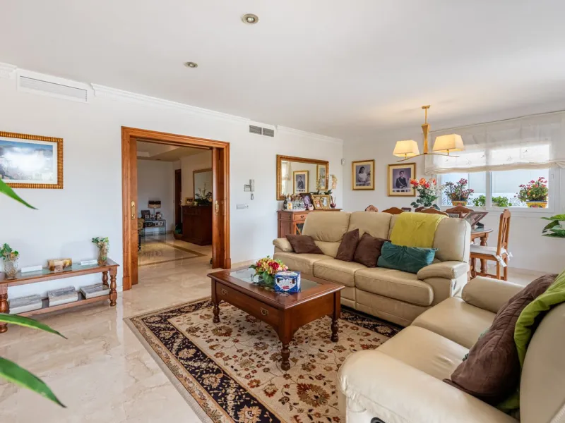 Spacious Villa in central San Pedro! With 3 separate apartments and garage for 10 cars.