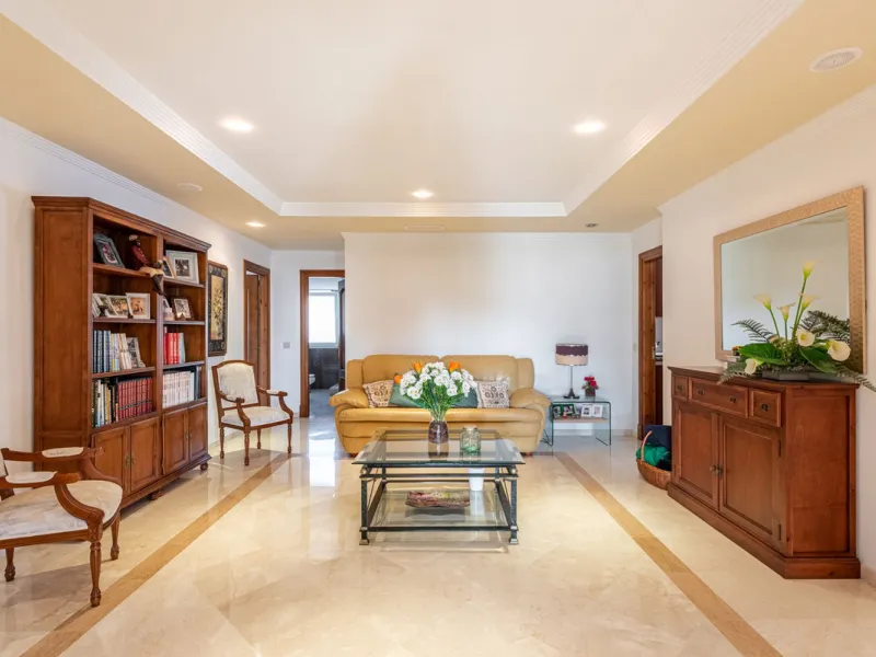Spacious Villa in central San Pedro! With 3 separate apartments and garage for 10 cars.
