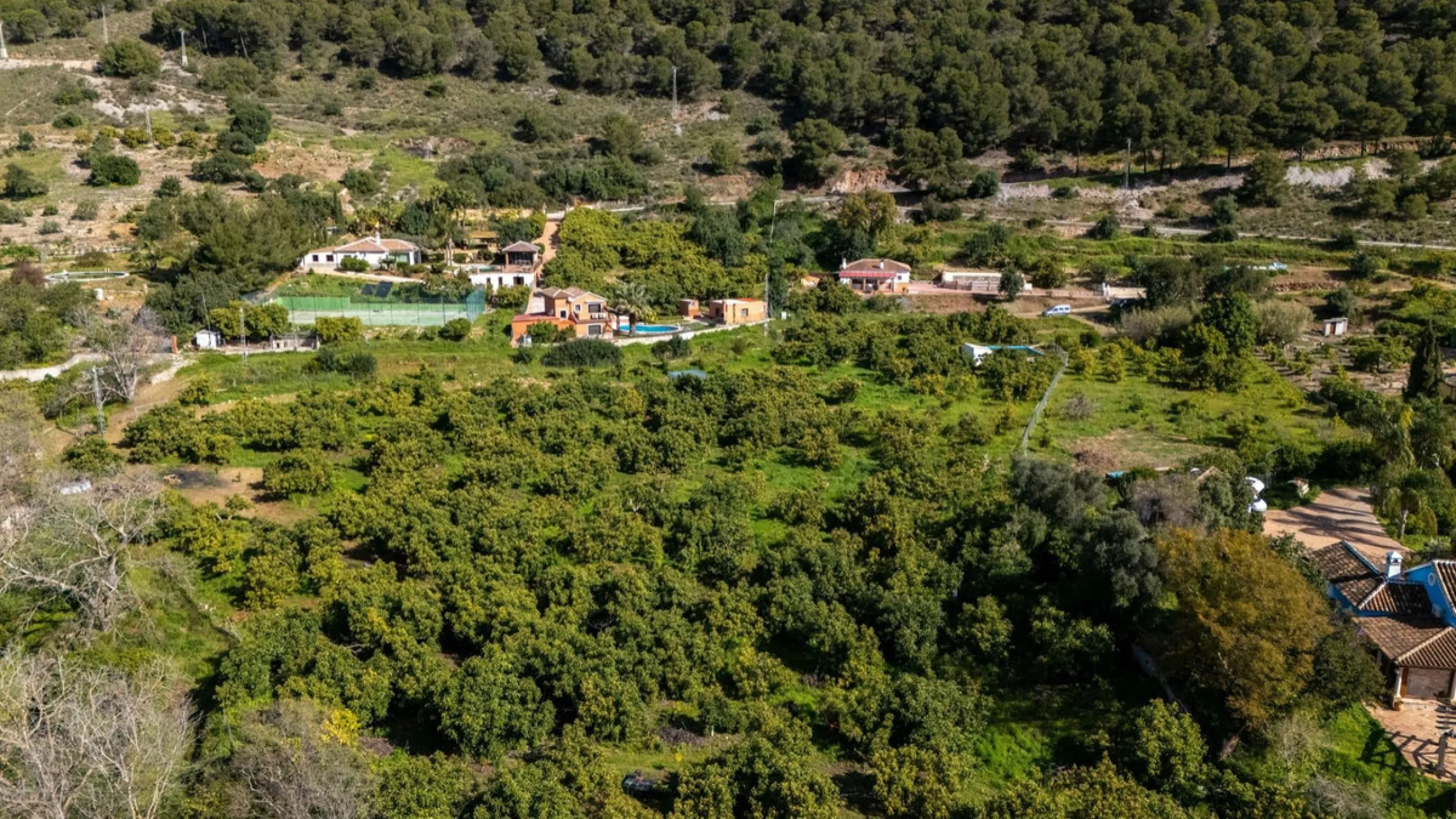 Nestled in the picturesque and tranquil area close to Barranco Blanco, between the towns of Alhaurín el Grande and Coín, this charming country property offers the perfect blend of natural beauty, privacy, and agricultural potential.
