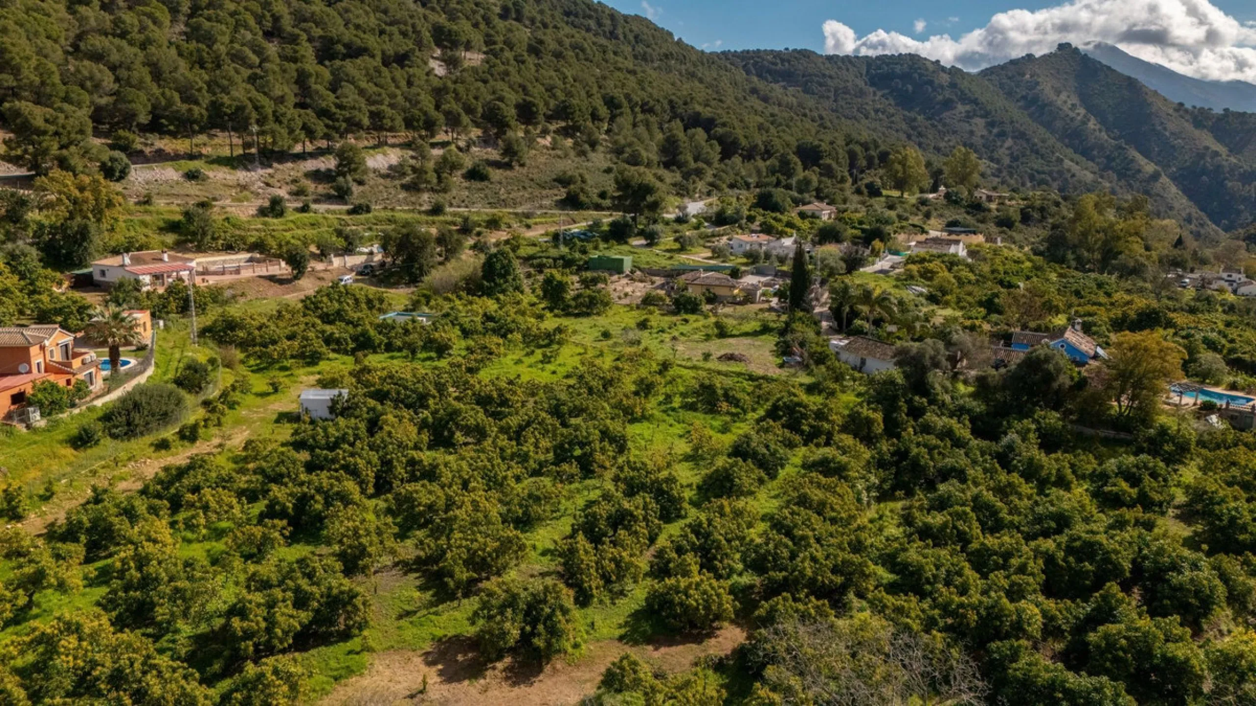 Nestled in the picturesque and tranquil area close to Barranco Blanco, between the towns of Alhaurín el Grande and Coín, this charming country property offers the perfect blend of natural beauty, privacy, and agricultural potential.
