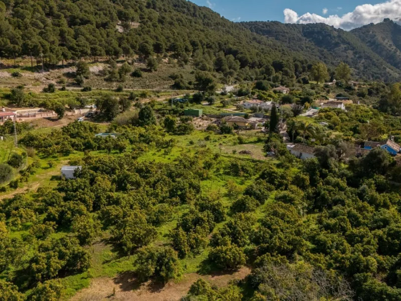 Nestled in the picturesque and tranquil area close to Barranco Blanco, between the towns of Alhaurín el Grande and Coín, this charming country property offers the perfect blend of natural beauty, privacy, and agricultural potential.