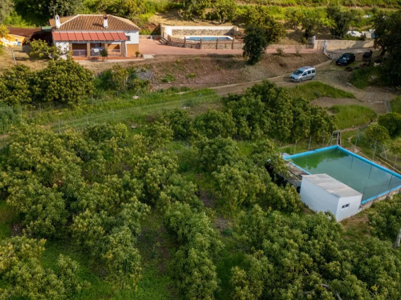 Nestled in the picturesque and tranquil area close to Barranco Blanco, between the towns of Alhaurín el Grande and Coín, this charming country property offers the perfect blend of natural beauty, privacy, and agricultural potential.