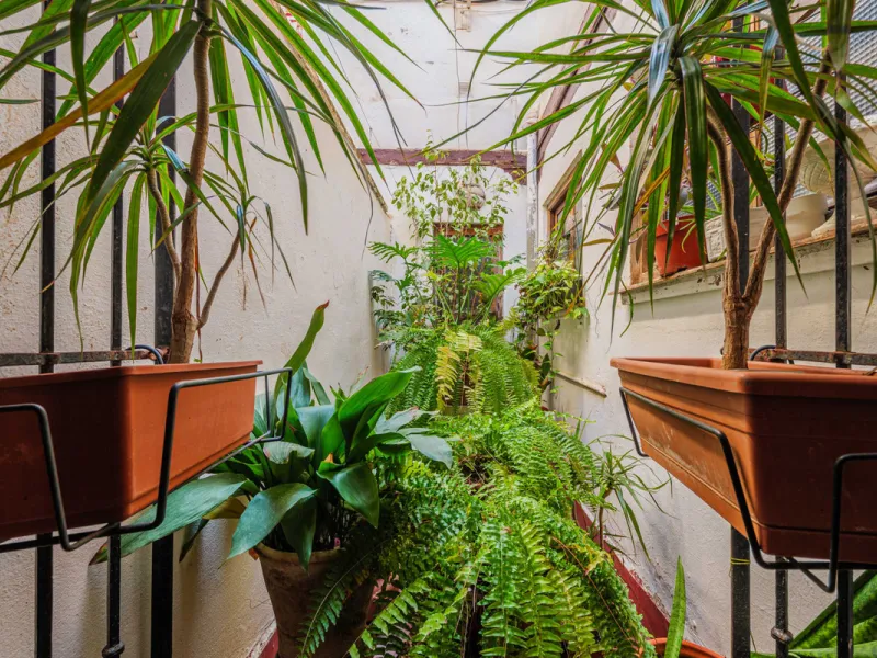 Commercial - Other в продаже в Málaga, Málaga. Площадь дома 1388 м². Площадь участка 343 м²