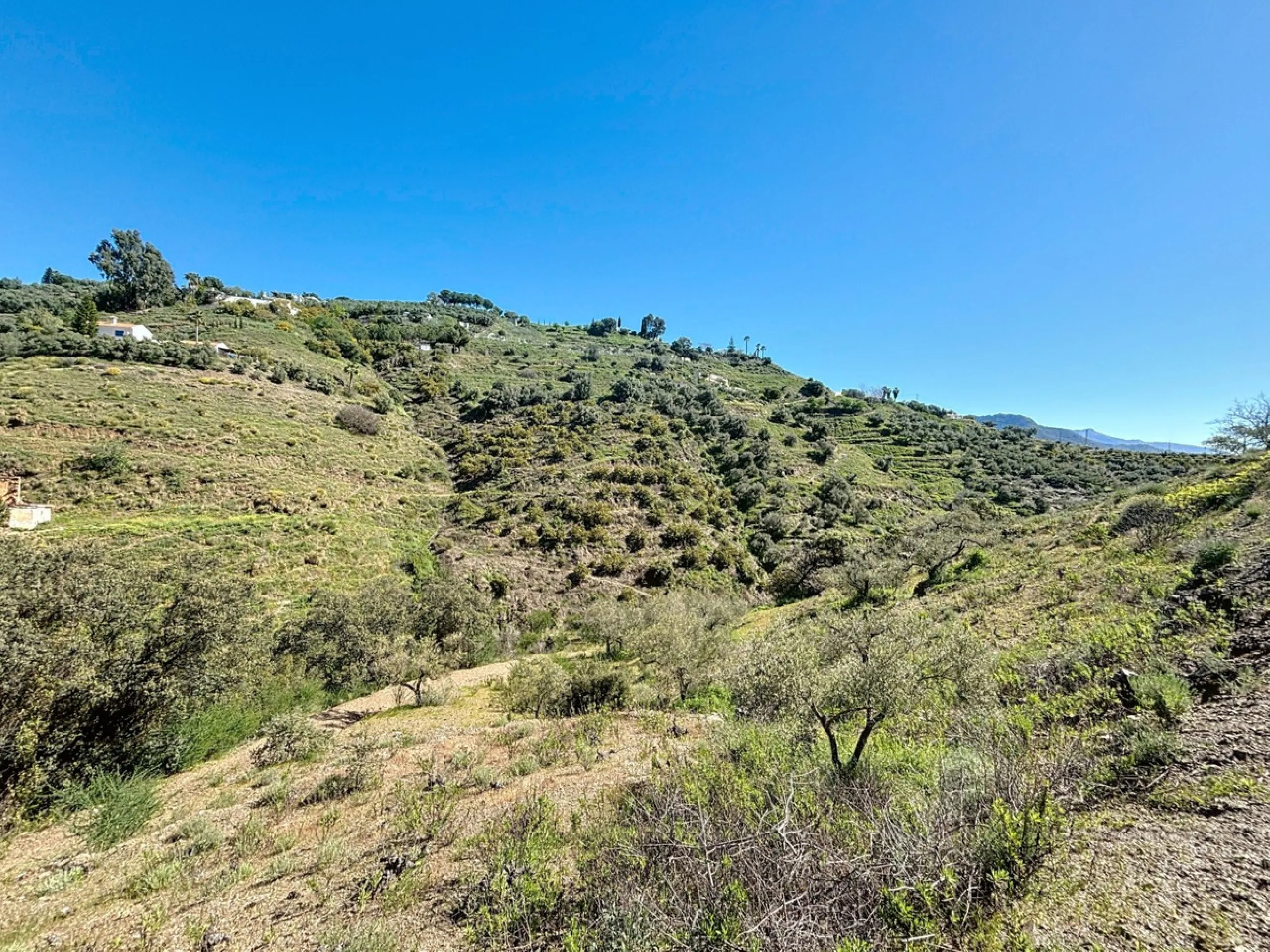 Nestled in the gentle hills below Cómpeta, with sweeping views of the surrounding mountains, this charming country house in traditional Andalusian style offers a peaceful retreat for nature lovers and those seeking tranquility. The single-storey house fea