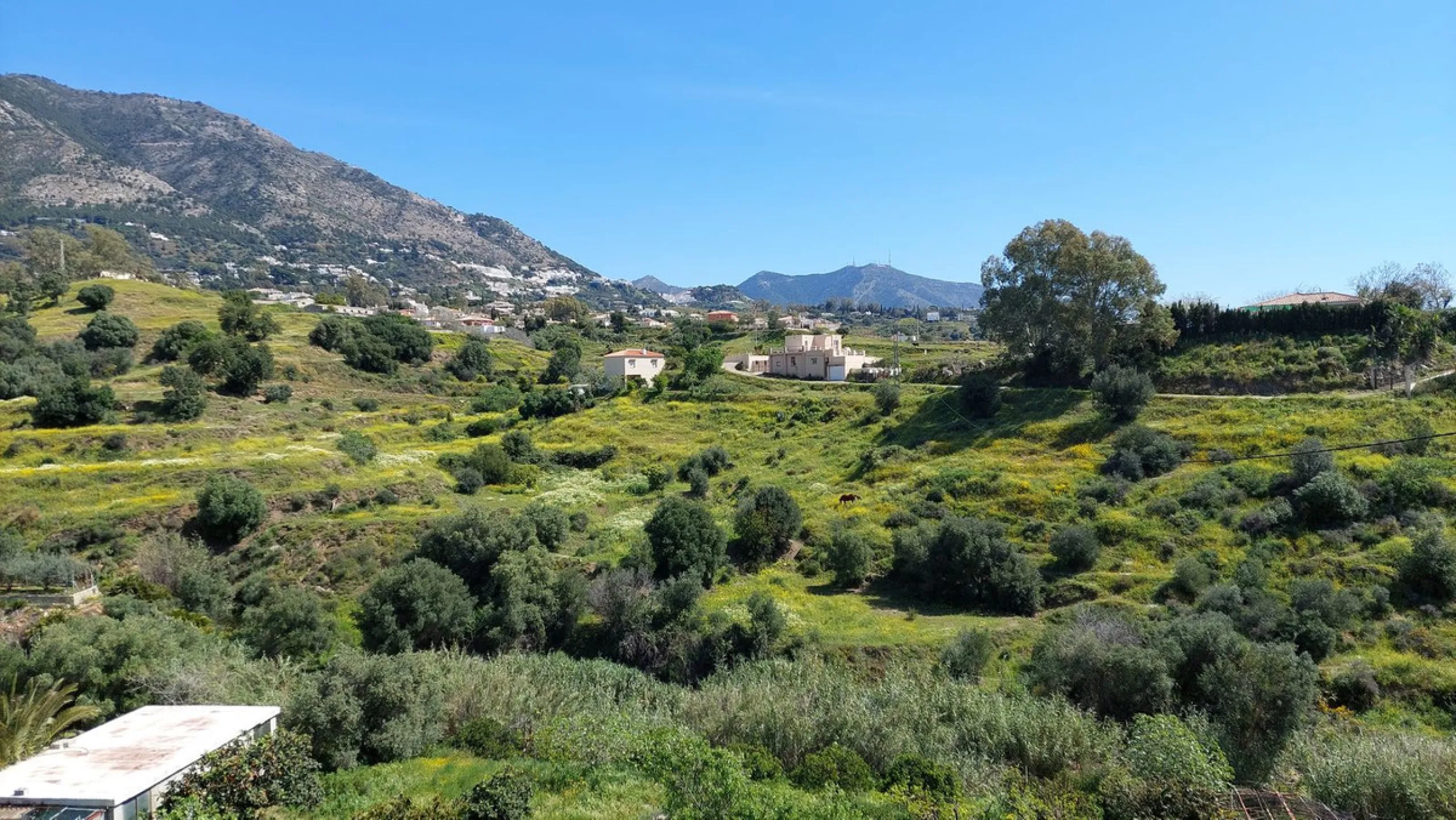 Country Estate with Two Independent Houses and Sea Views – Mijas, Costa del Sol