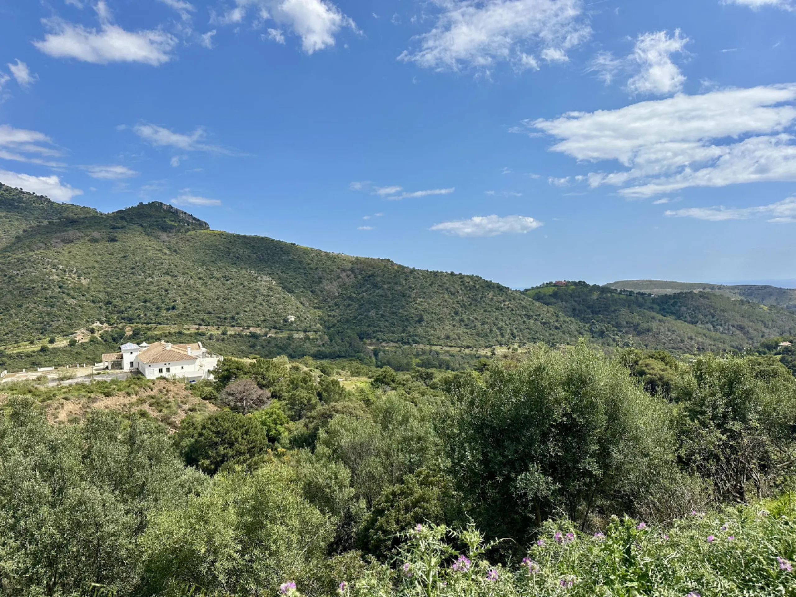 Located in the prestigious enclave of Montemayor, Benahavís, this stunning 2,996 m2 plot offers a privileged natural setting and panoramic sea views. With a southeast orientation, Plot D4 enjoys excellent sunlight and a peaceful atmosphere surrounded by n