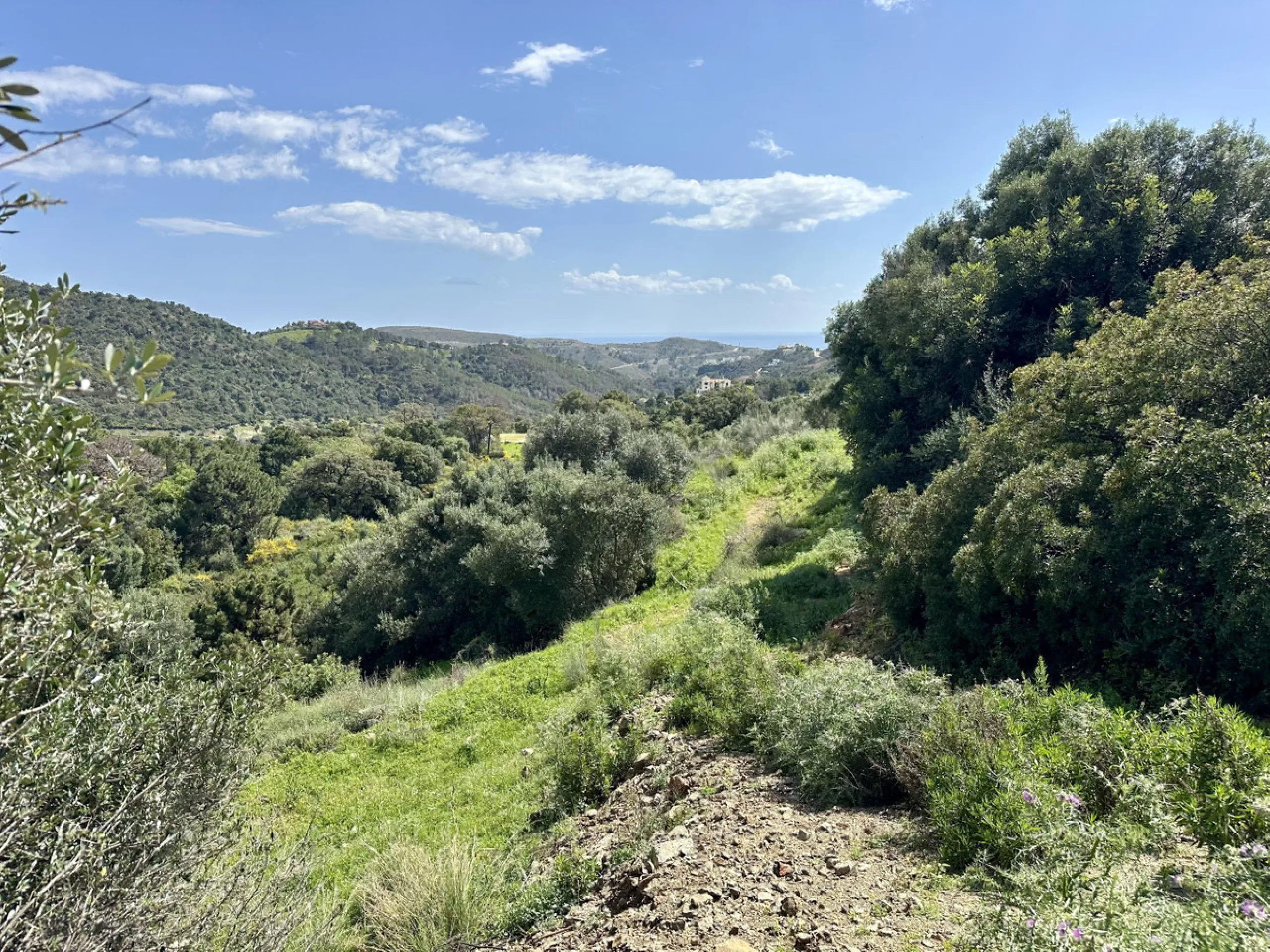 Located in the prestigious enclave of Montemayor, Benahavís, this stunning 2,996 m2 plot offers a privileged natural setting and panoramic sea views. With a southeast orientation, Plot D4 enjoys excellent sunlight and a peaceful atmosphere surrounded by n