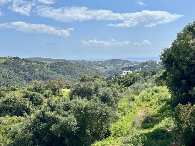 Located in the prestigious enclave of Montemayor, Benahavís, this stunning 2,996 m2 plot offers a privileged natural setting and panoramic sea views. With a southeast orientation, Plot D4 enjoys excellent sunlight and a peaceful atmosphere surrounded by n
