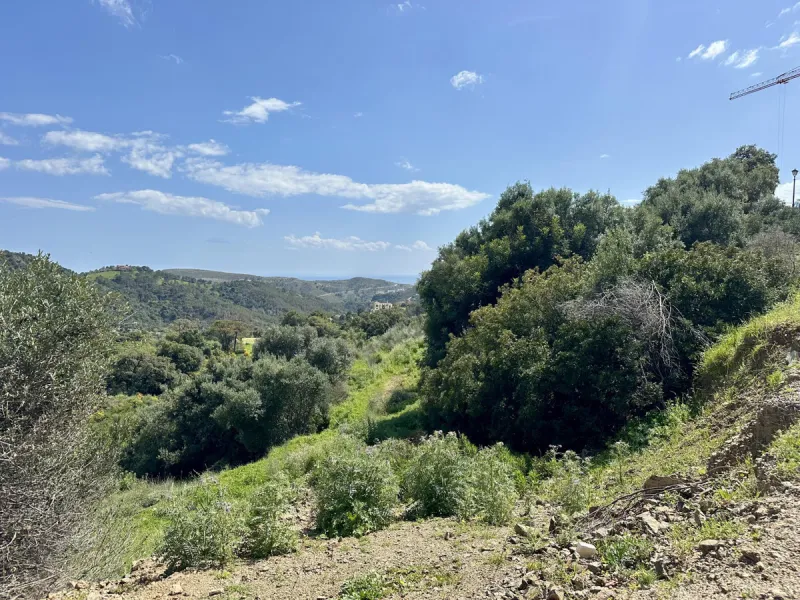 Located in the prestigious enclave of Montemayor, Benahavís, this stunning 2,996 m2 plot offers a privileged natural setting and panoramic sea views. With a southeast orientation, Plot D4 enjoys excellent sunlight and a peaceful atmosphere surrounded by n