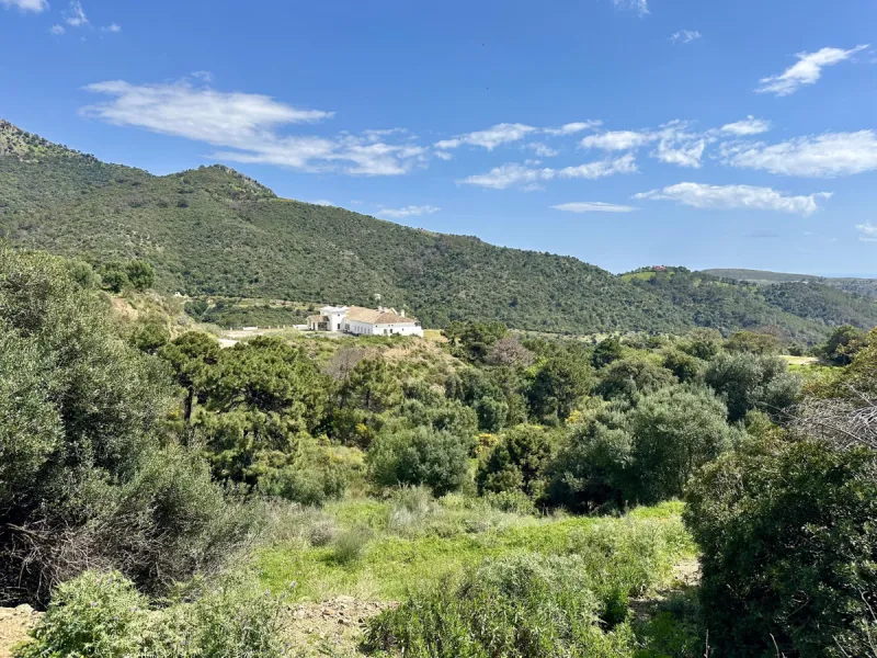 Located in the prestigious enclave of Montemayor, Benahavís, this stunning 2,996 m2 plot offers a privileged natural setting and panoramic sea views. With a southeast orientation, Plot D4 enjoys excellent sunlight and a peaceful atmosphere surrounded by n