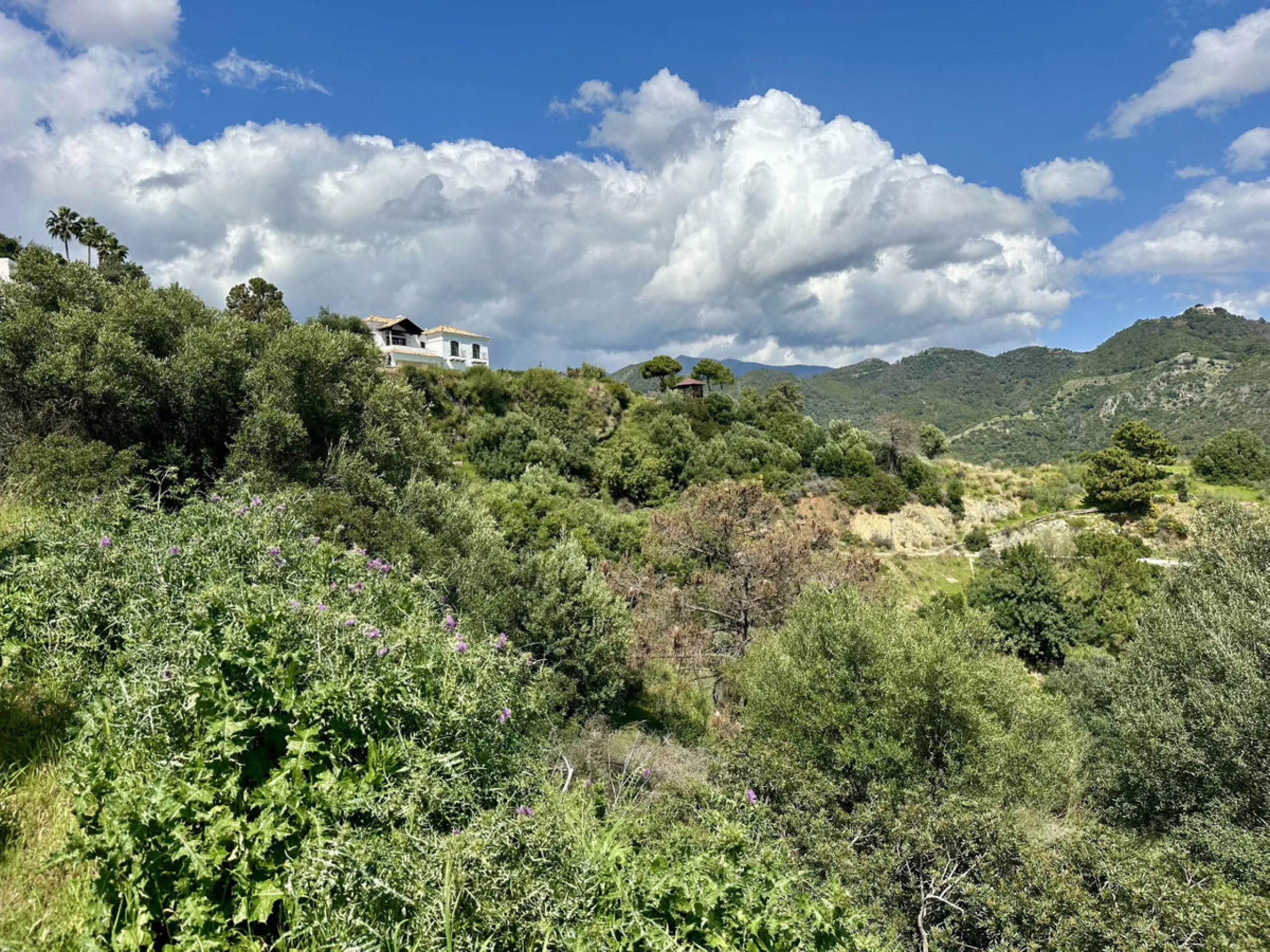Located in the prestigious enclave of Montemayor, Benahavís, this stunning 2,996 m2 plot offers a privileged natural setting and panoramic sea views. With a southeast orientation, Plot D4 enjoys excellent sunlight and a peaceful atmosphere surrounded by n