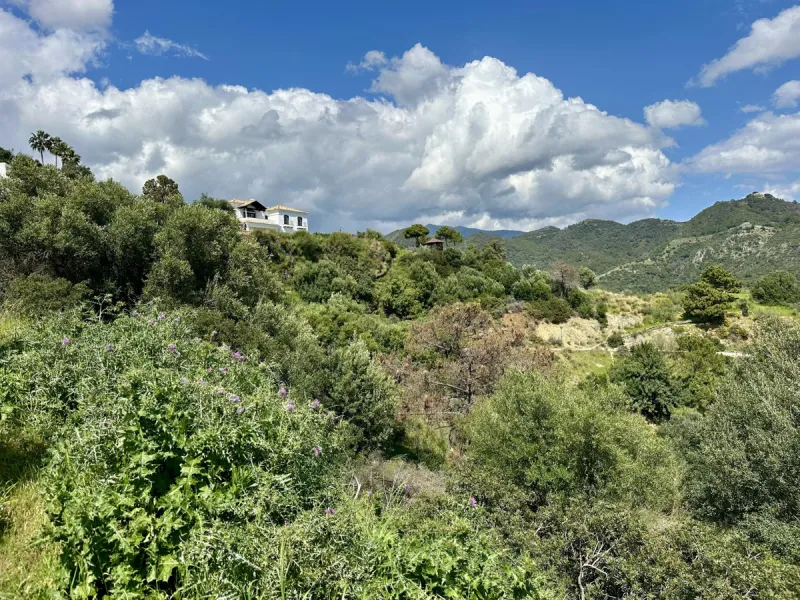 Located in the prestigious enclave of Montemayor, Benahavís, this stunning 2,996 m2 plot offers a privileged natural setting and panoramic sea views. With a southeast orientation, Plot D4 enjoys excellent sunlight and a peaceful atmosphere surrounded by n