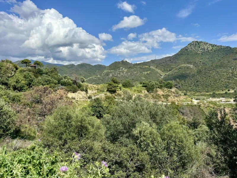 Located in the prestigious enclave of Montemayor, Benahavís, this stunning 2,996 m2 plot offers a privileged natural setting and panoramic sea views. With a southeast orientation, Plot D4 enjoys excellent sunlight and a peaceful atmosphere surrounded by n