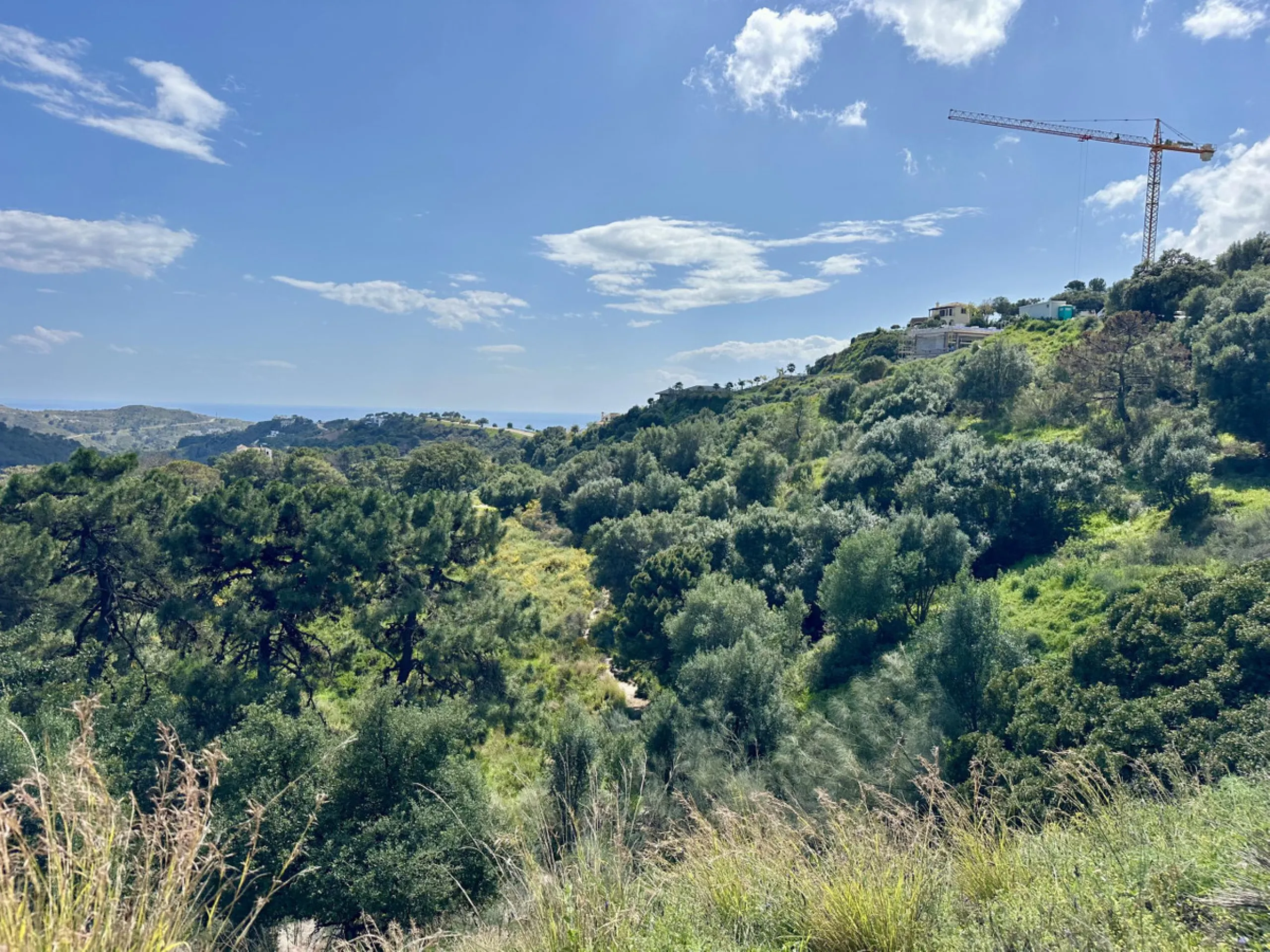 Located in the prestigious enclave of Montemayor, Benahavís, this stunning 2,996 m2 plot offers a privileged natural setting and panoramic sea views. With a southeast orientation, Plot D4 enjoys excellent sunlight and a peaceful atmosphere surrounded by n