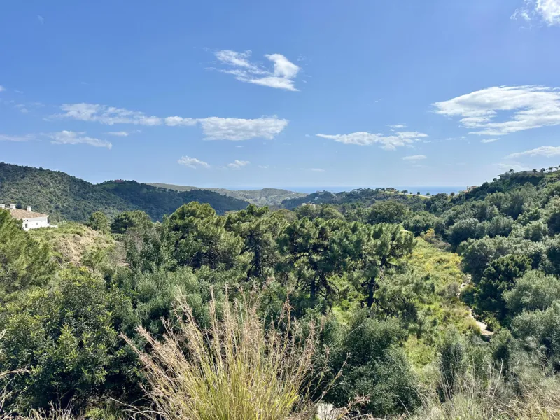 Located in the prestigious enclave of Montemayor, Benahavís, this stunning 2,996 m2 plot offers a privileged natural setting and panoramic sea views. With a southeast orientation, Plot D4 enjoys excellent sunlight and a peaceful atmosphere surrounded by n