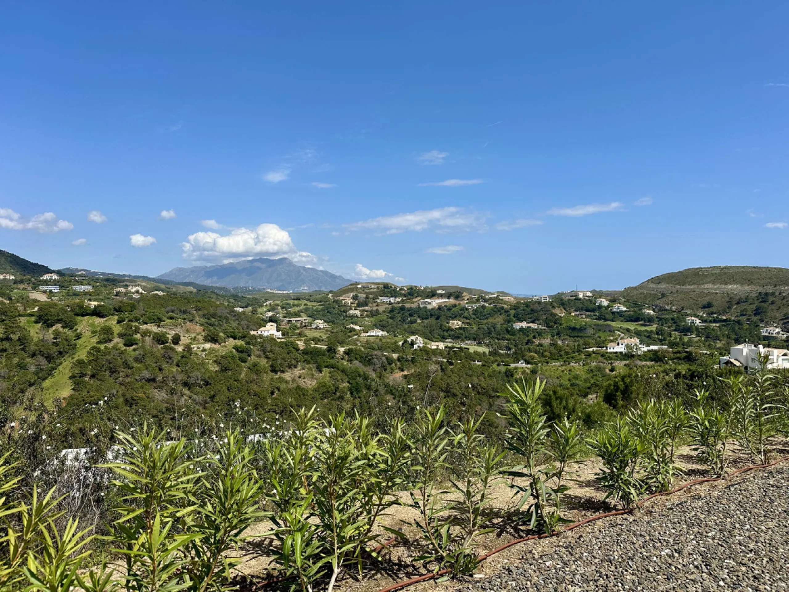 Located in the prestigious enclave of Montemayor, Benahavís, this stunning 2,996 m2 plot offers a privileged natural setting and panoramic sea views. With a southeast orientation, Plot D4 enjoys excellent sunlight and a peaceful atmosphere surrounded by n
