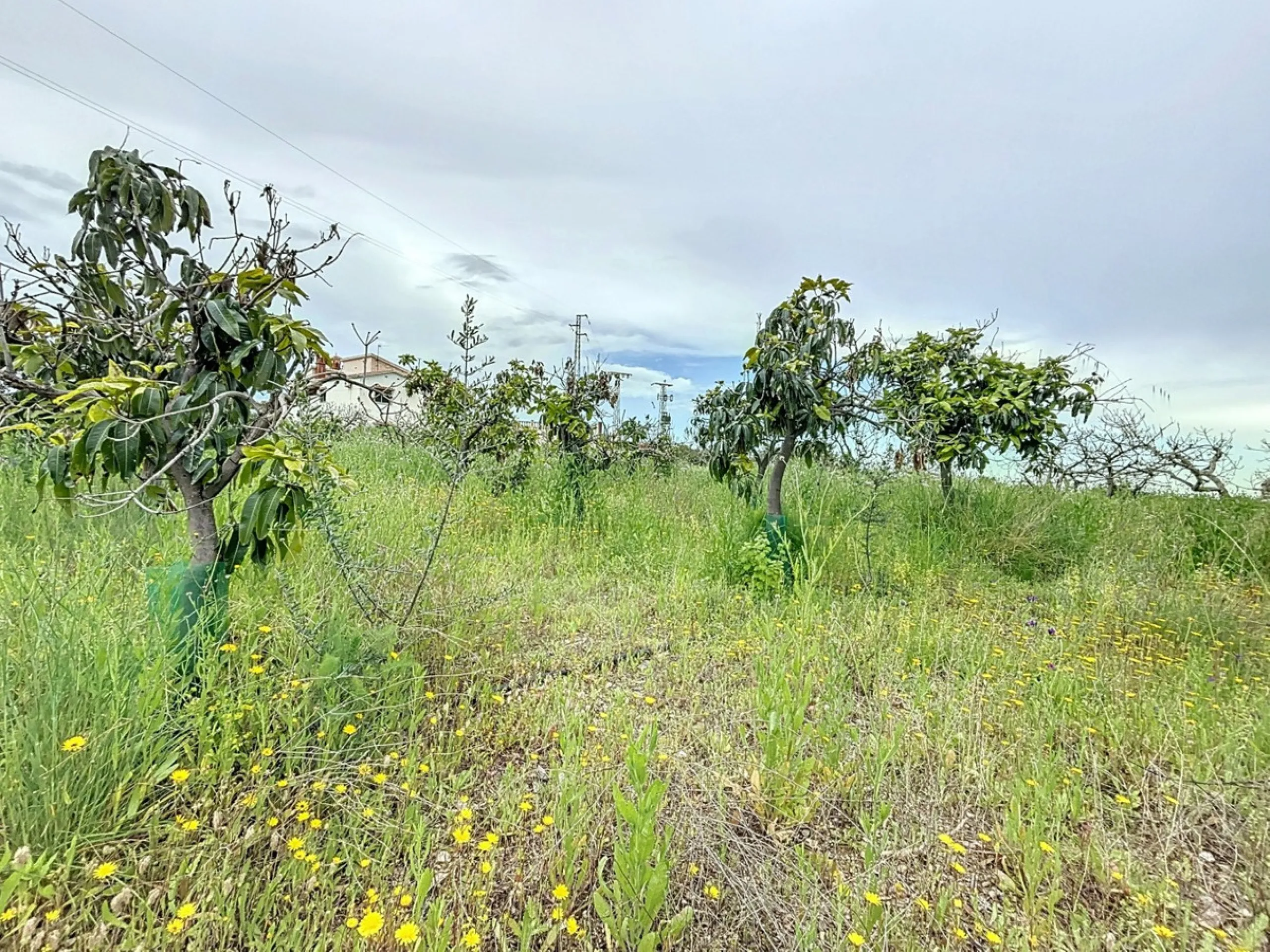 This charming chalet in Chilches offers everything you could wish for in your new home. With 3 bedrooms and one bathroom, it provides ample space for the whole family. The spacious kitchen and bright living room invite you to relax, while the fireplace cr