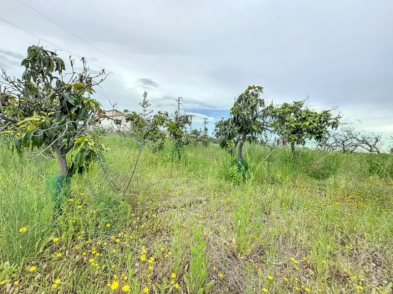 This charming chalet in Chilches offers everything you could wish for in your new home. With 3 bedrooms and one bathroom, it provides ample space for the whole family. The spacious kitchen and bright living room invite you to relax, while the fireplace cr