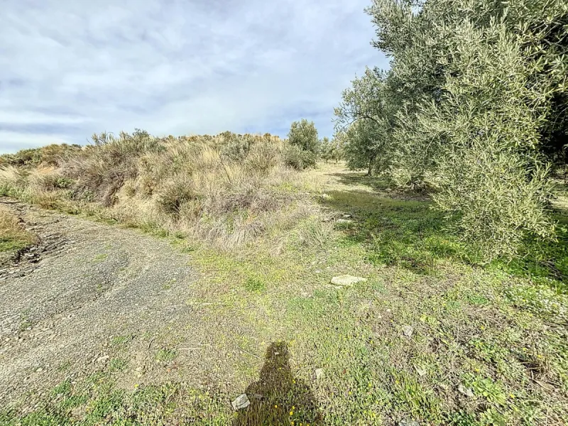 Rustic Land with Sea Views in Sedella 39,765 m2 This exceptional rustic land of 39,765 m2 is located on a hillside and offers stunning views of the sea and the surrounding landscape. With an already approved project and the possibility of changing the lan