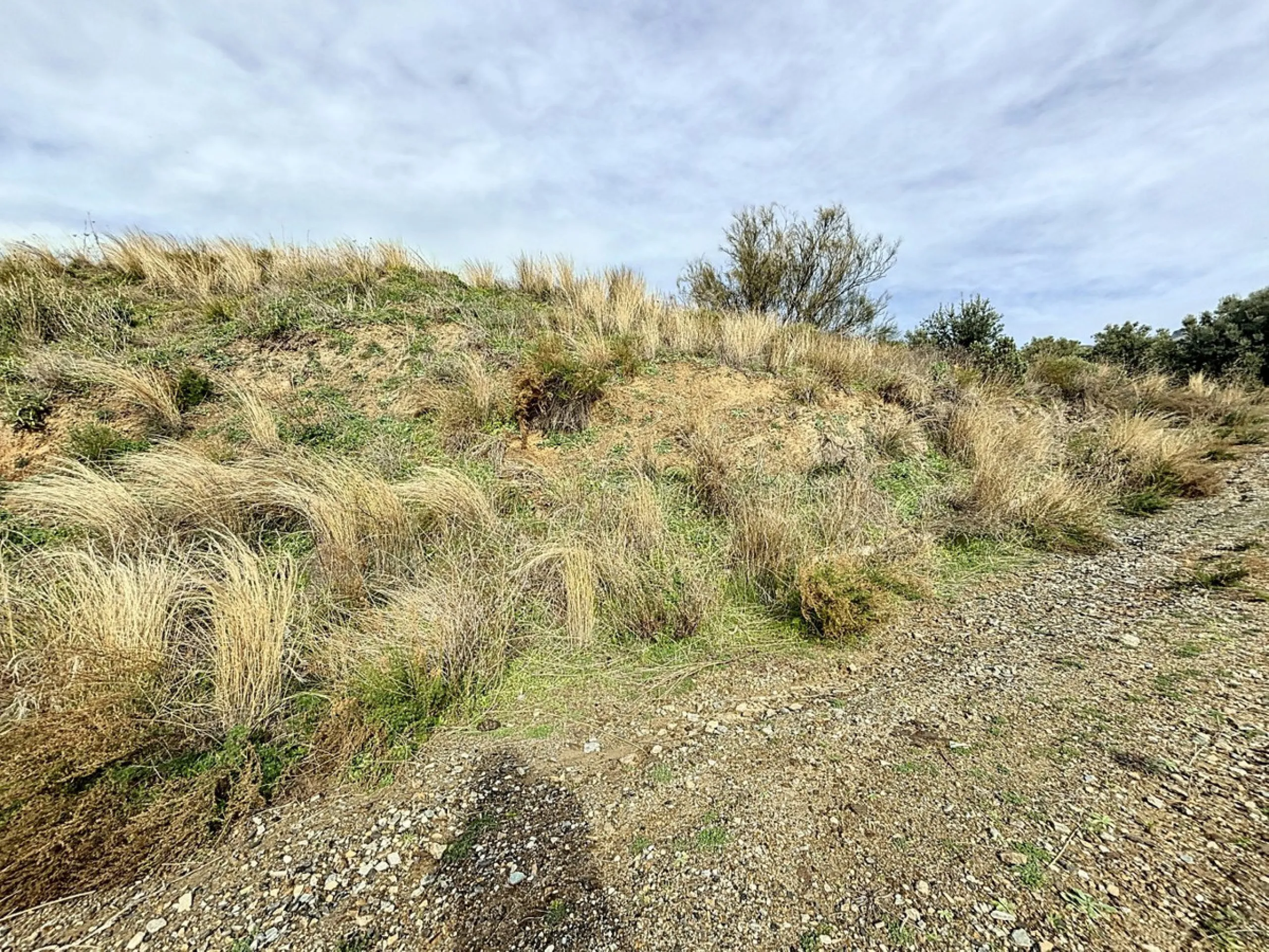Rustic Land with Sea Views in Sedella 39,765 m2 This exceptional rustic land of 39,765 m2 is located on a hillside and offers stunning views of the sea and the surrounding landscape. With an already approved project and the possibility of changing the lan