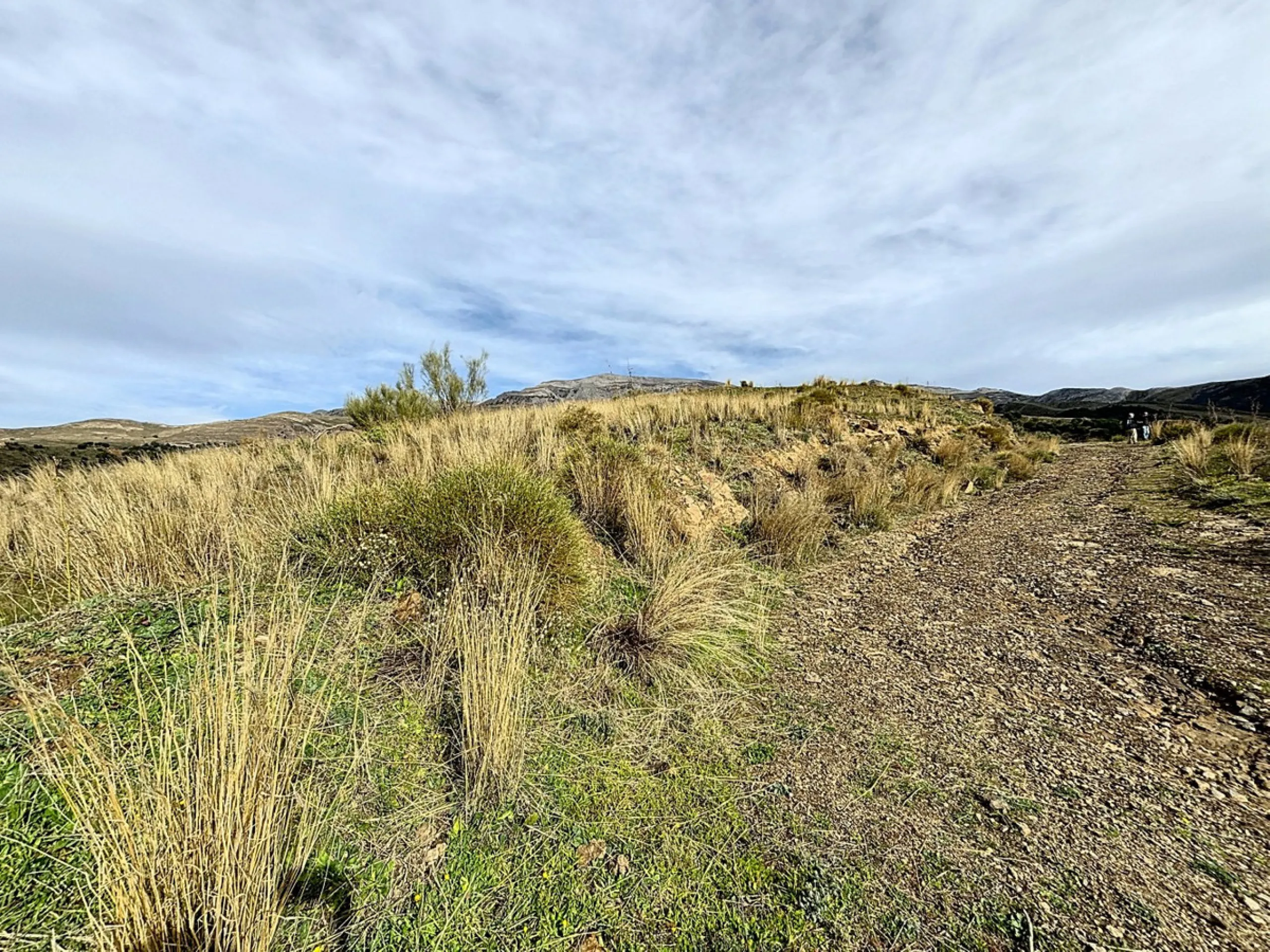 Rustic Land with Sea Views in Sedella 39,765 m2 This exceptional rustic land of 39,765 m2 is located on a hillside and offers stunning views of the sea and the surrounding landscape. With an already approved project and the possibility of changing the lan