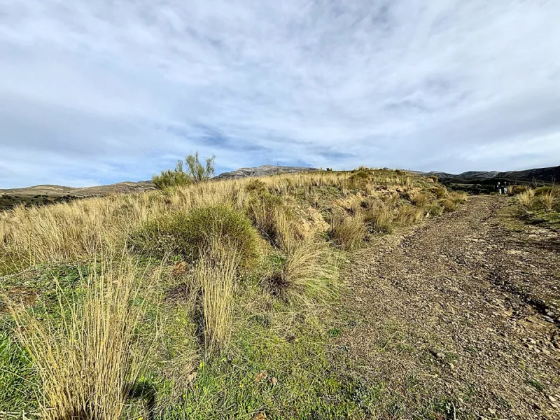 Rustic Land with Sea Views in Sedella 39,765 m2 This exceptional rustic land of 39,765 m2 is located on a hillside and offers stunning views of the sea and the surrounding landscape. With an already approved project and the possibility of changing the lan