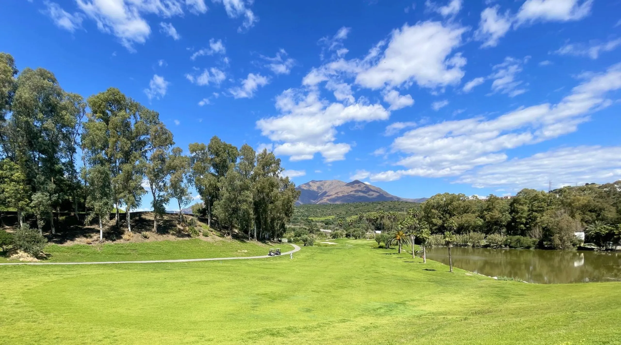 MAGNIFICENT DUPLEX PENTHOUSE WITH STUNNING SEA AND GOLF VIEWS AND A TOURIST LICENSE