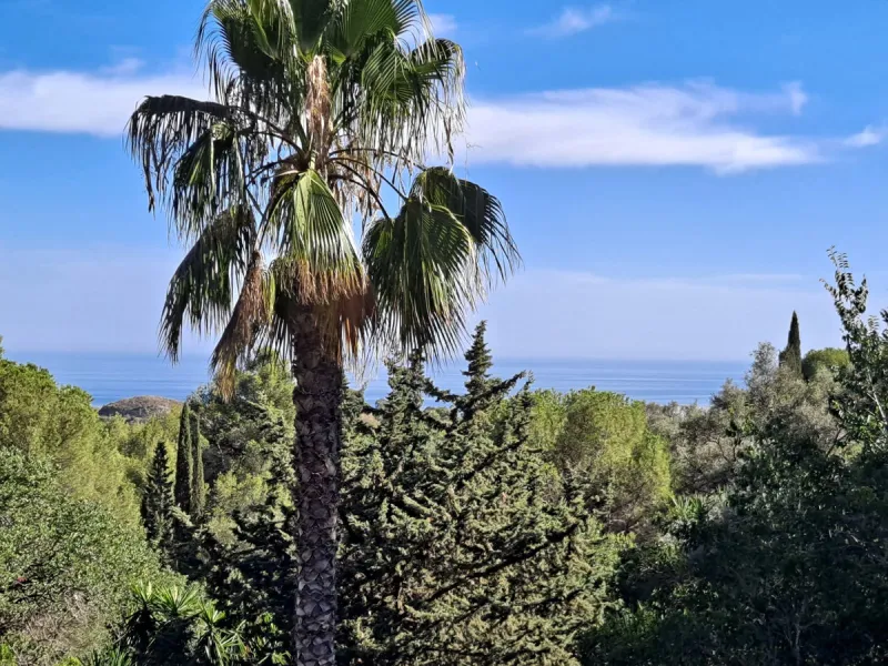 Eco Rural Tourism Business for Sale – Sea view– Licensed Property