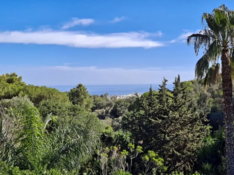 Eco Rural Tourism Business for Sale – Sea view– Licensed Property
