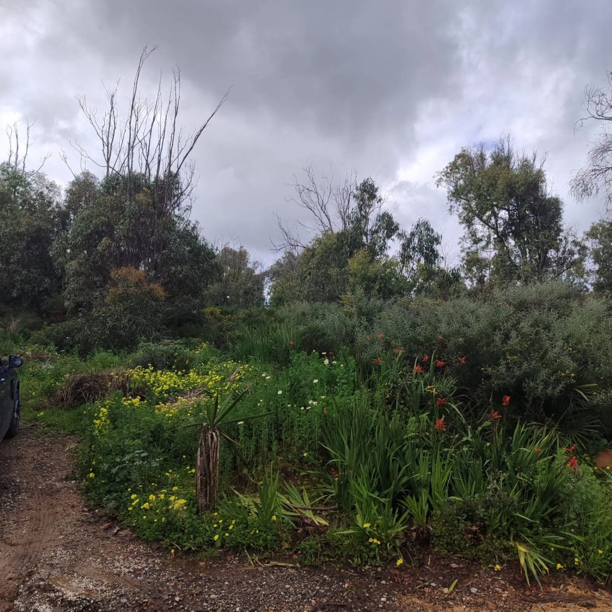 FOR INVESTORS ONLY—LAND-BANK FOR FUTURE DEVELOPMENT AT A VERY ATTRACTIVE PRICE