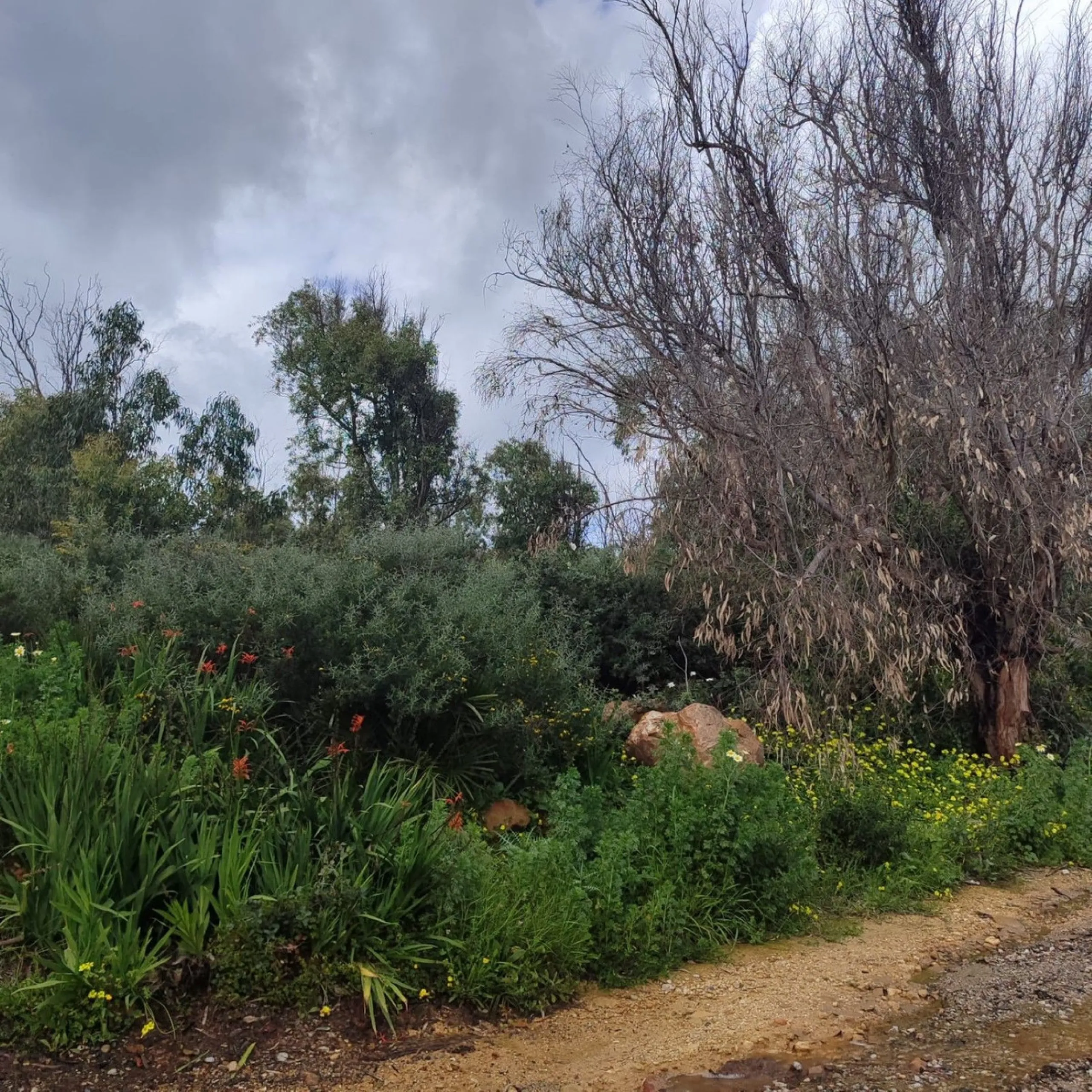 FOR INVESTORS ONLY—LAND-BANK FOR FUTURE DEVELOPMENT AT A VERY ATTRACTIVE PRICE