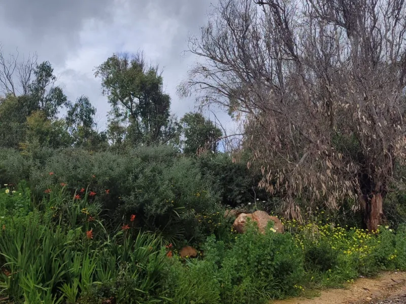 FOR INVESTORS ONLY—LAND-BANK FOR FUTURE DEVELOPMENT AT A VERY ATTRACTIVE PRICE