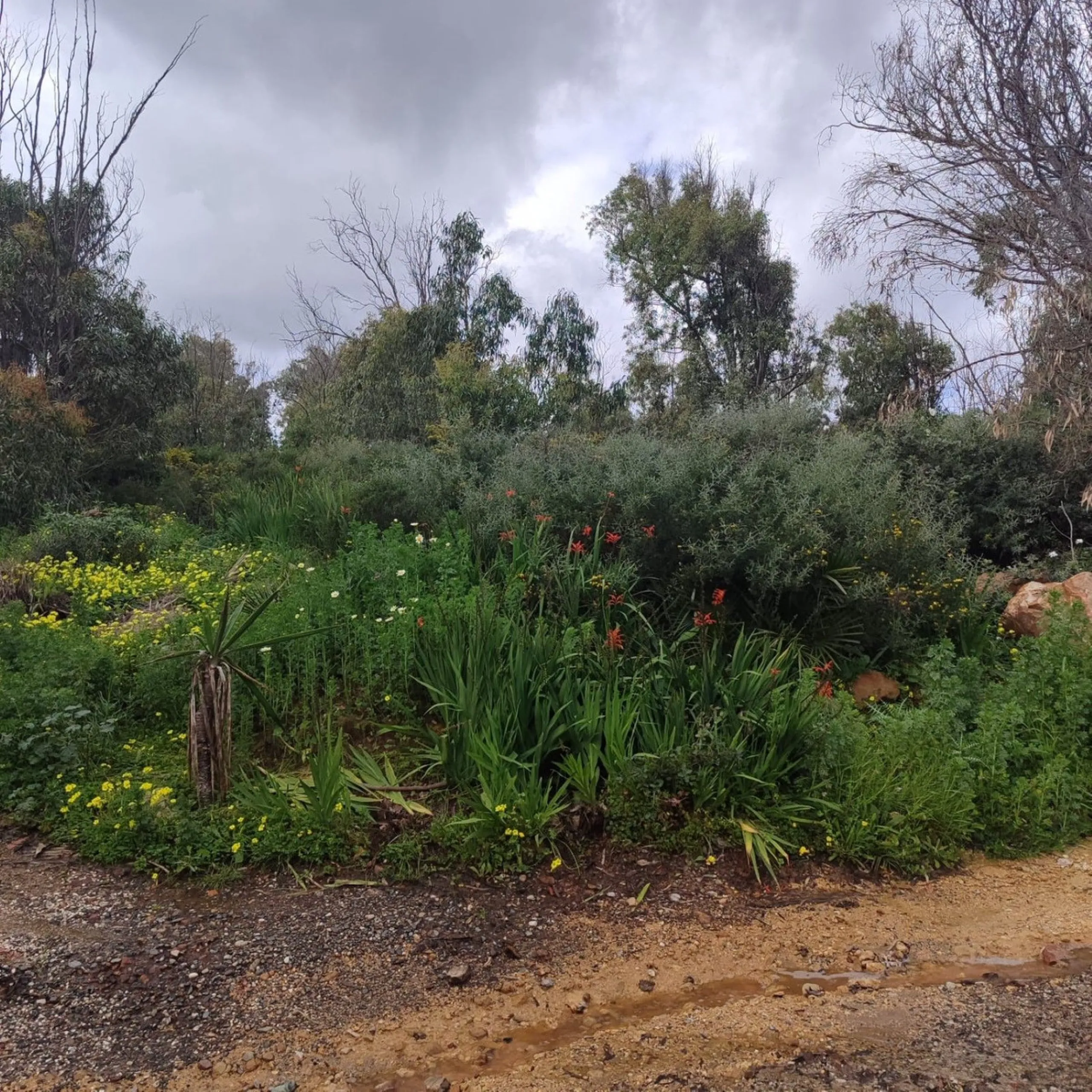 FOR INVESTORS ONLY—LAND-BANK FOR FUTURE DEVELOPMENT AT A VERY ATTRACTIVE PRICE