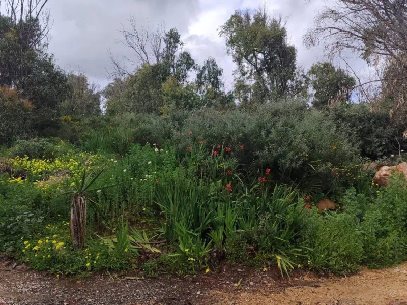 FOR INVESTORS ONLY—LAND-BANK FOR FUTURE DEVELOPMENT AT A VERY ATTRACTIVE PRICE