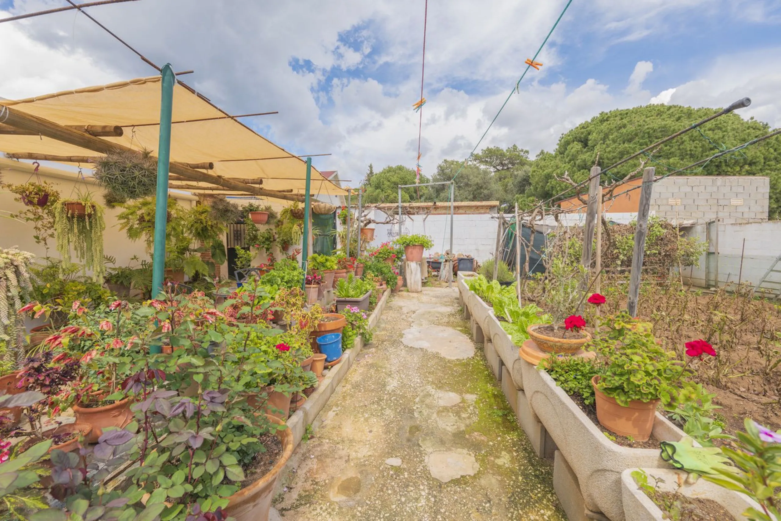 Opportunity at Ricmar, three bedroom One Storey Villa on an ample plot over 1300sqm. Come and assess the possibilities of this property located in a privileged East Marbella area, surrounded by nature and a mere 500m from one of the best beaches in Marbel