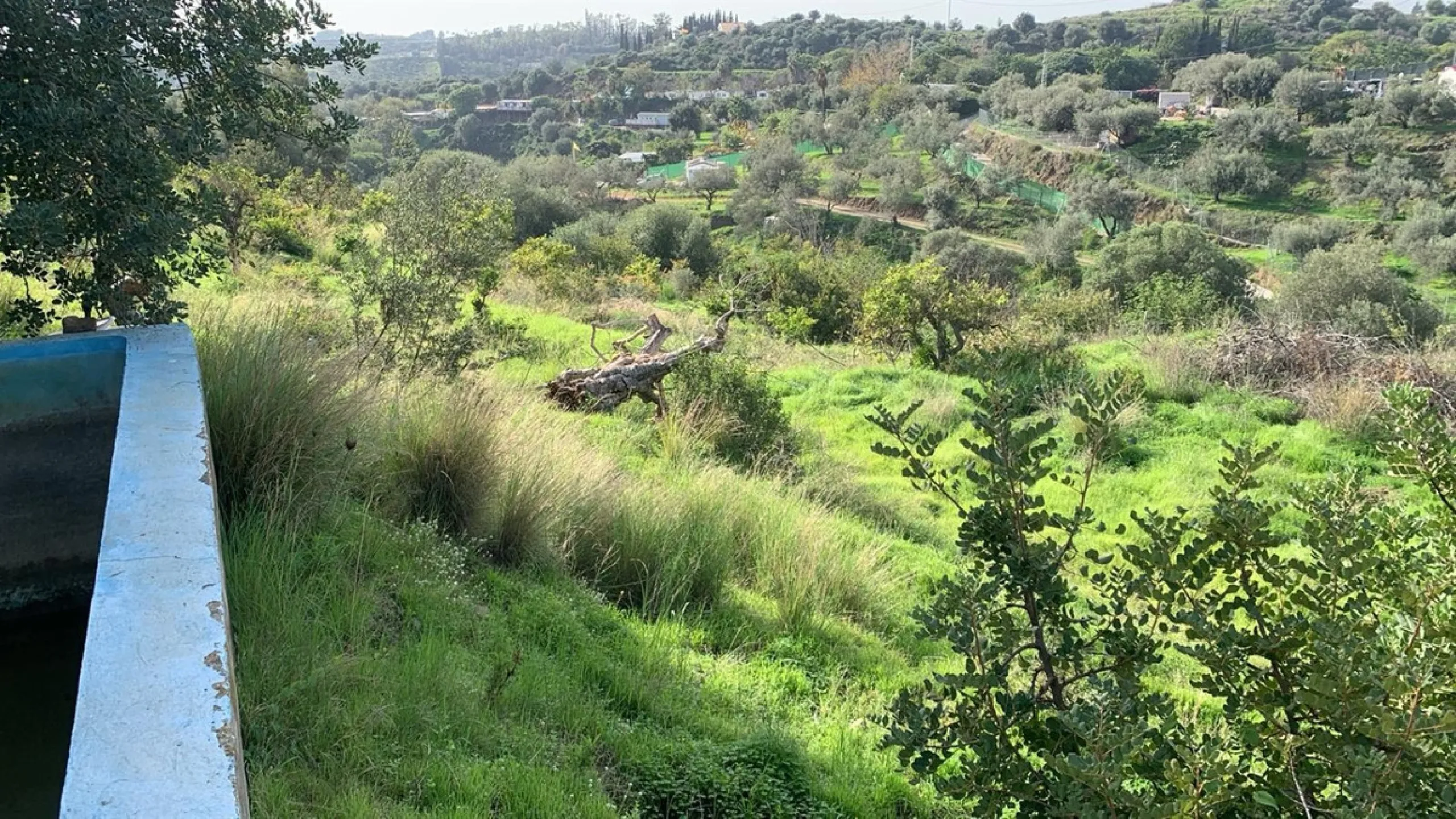 House - Finca - Cortijo в продаже в Mijas, Málaga. В доме 3 спален и 2 ванных комнат. Площадь дома 208 м². Площадь участка 19200 м²