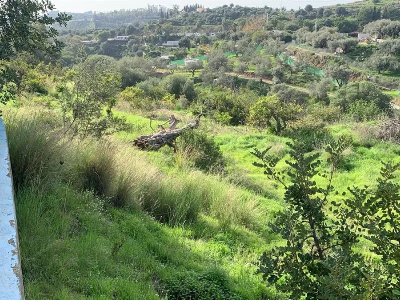 House - Finca - Cortijo в продаже в Mijas, Málaga. В доме 3 спален и 2 ванных комнат. Площадь дома 208 м². Площадь участка 19200 м²